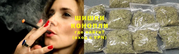ГАЛЛЮЦИНОГЕННЫЕ ГРИБЫ Аркадак