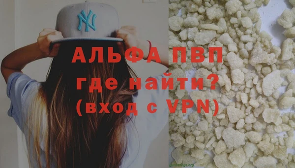 гашик Гусь-Хрустальный